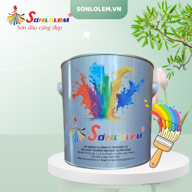 Sơn Lọ Lem Tổng Hợp